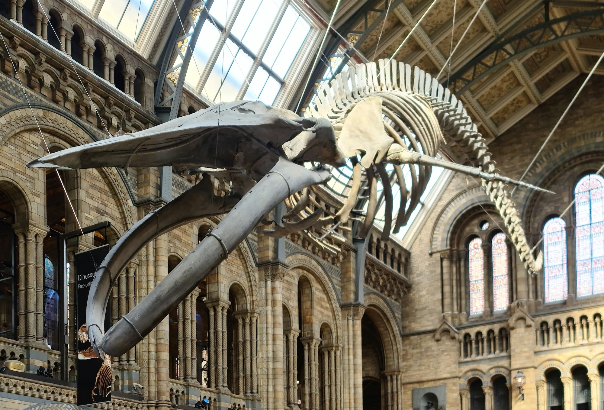 Natural History Museum in London